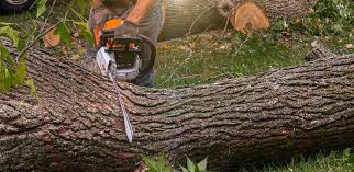 Landscape Design and Installation in Alvord, TX