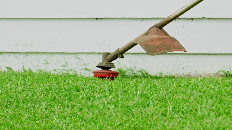 Best Soil Testing and Treatment  in Alvord, TX